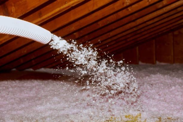 Best Wall Insulation Contractor  in Palmview, TX