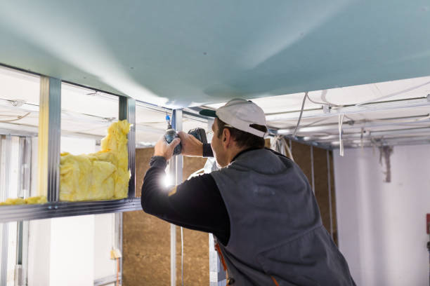 Best Energy-efficient Insulation  in Palmview, TX