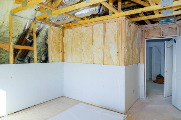 Best Fiberglass Insulation  in Palmview, TX