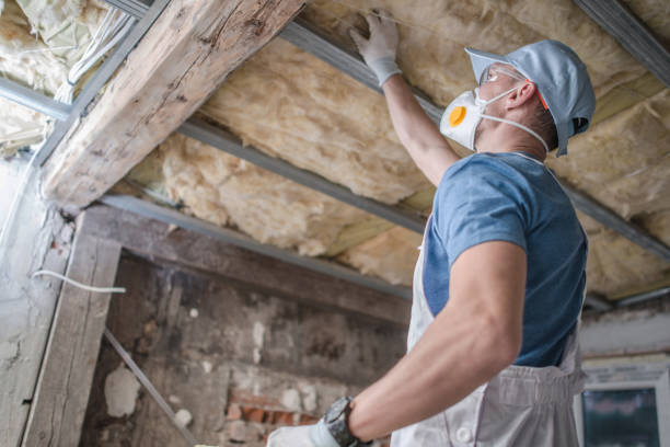 Best Insulation for New Construction  in Palmview, TX