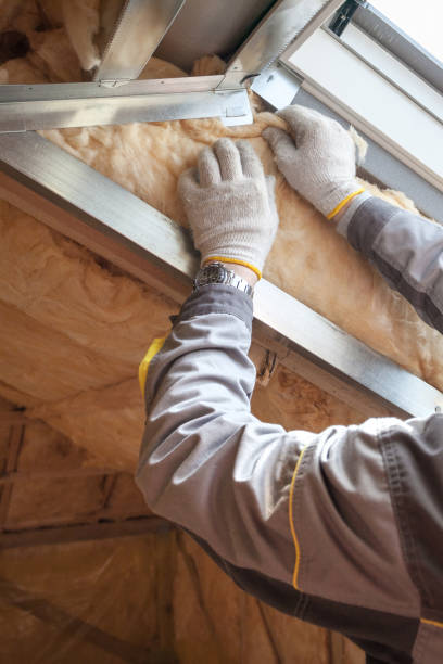 Best Best Insulation Companies  in Palmview, TX