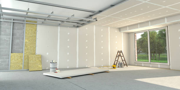 Best Professional Insulation Contractor  in Palmview, TX