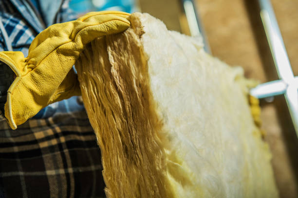 Best Insulation for New Construction  in Palmview, TX