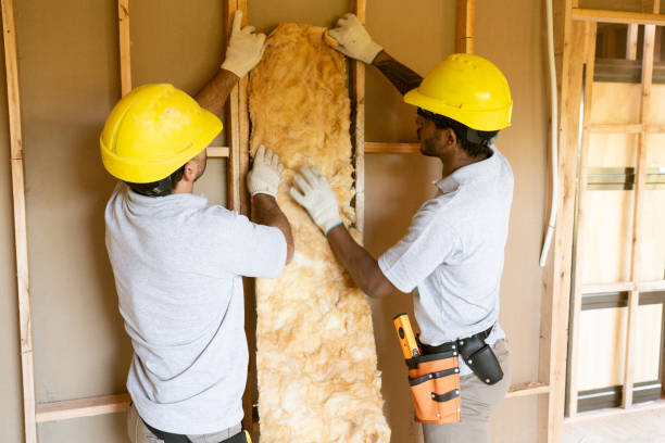 Best Insulation Contractor Near Me  in Palmview, TX