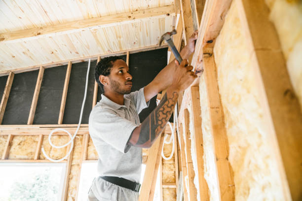 Best Crawl Space Insulation  in Palmview, TX