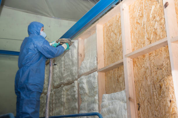 Best Local Insulation Services  in Palmview, TX