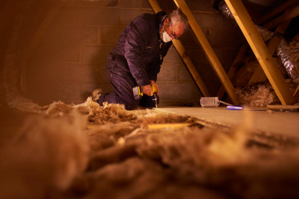 Best Commercial Insulation Contractor  in Palmview, TX